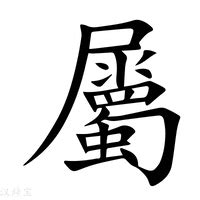 屬的意思|屬的意思，屬字的意思